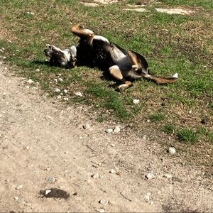 Meet your Posher, Katy